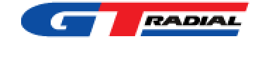 gallery/logogt_radial